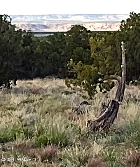 L-62 & 61 Elk Valley Ranch, Saint Johns, AZ 85936