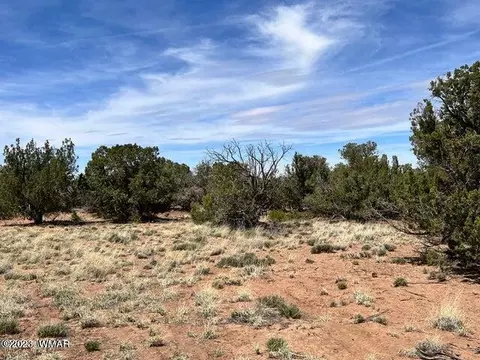 3845 Apache Rd, Snowflake, AZ 85937