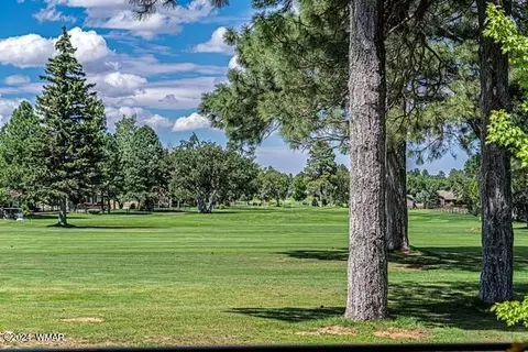 3930 W Old Linden Rd, Show Low, AZ 85901