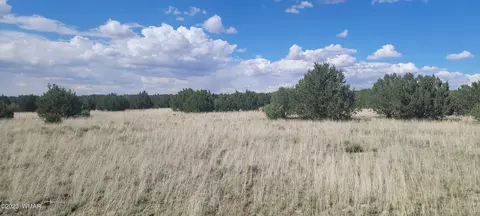 8722 Supancheck Rd, Show Low, AZ 85901