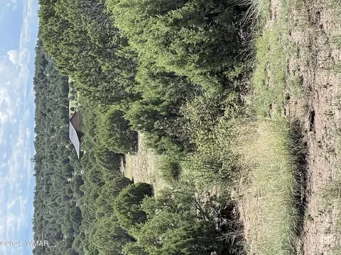 6565 Natures Way, Burton, AZ 85934