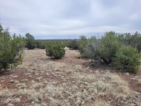 186 Acr 8305 #LOT 186, Concho, AZ 85924