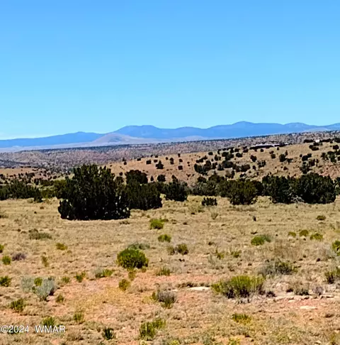 lot105 B River Springs Rnch #3, Saint Johns, AZ 85936