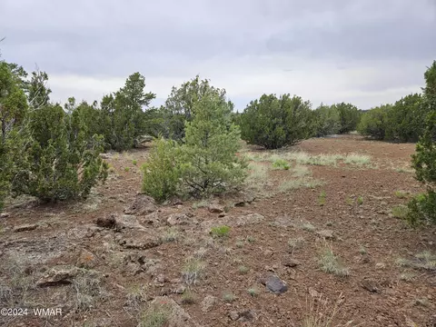 22 County Road 8111, Concho, AZ 85924
