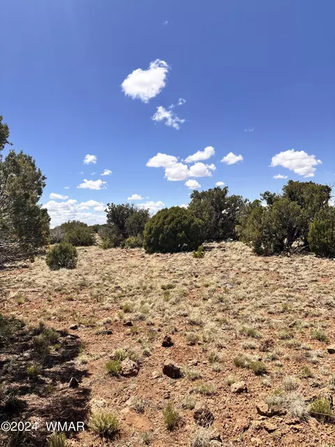 22 Co Rd 8237 Rd, Concho, AZ 85924