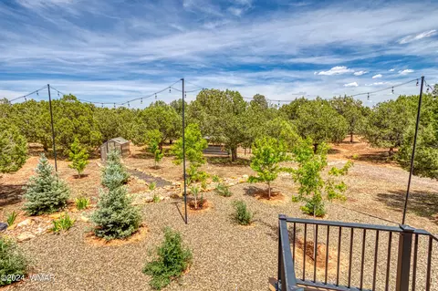 965 Cheney Ranch Loop, Show Low, AZ 85901 photo 32