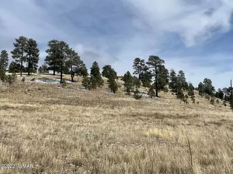 Lot 19 County Rd. 2331, Alpine, AZ 85920