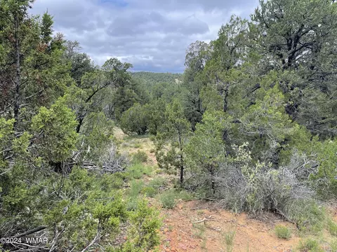 3634 Bobcat Trl, Overgaard, AZ 85933 photo 5