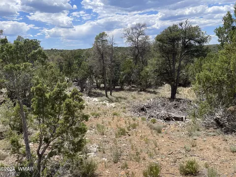 3634 Bobcat Trl, Overgaard, AZ 85933 photo 2