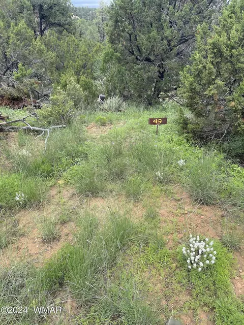 3634 Bobcat Trl, Overgaard, AZ 85933