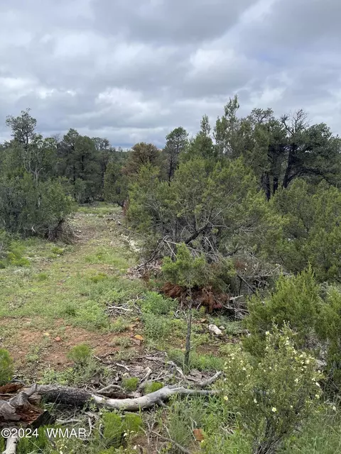 3634 Bobcat Trl, Overgaard, AZ 85933 photo 3