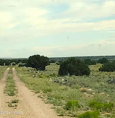 lot20 Elk Valley Rnch #1, Saint Johns, AZ 85936