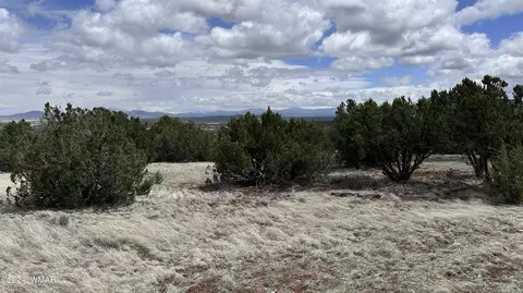 55 County Road 8025, Concho, AZ 85924