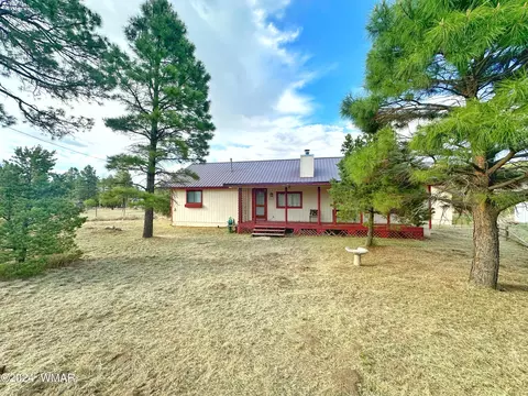 Exterior - 2815 Pine Hill Dr, Overgaard, AZ 85933 photo 1 of 2