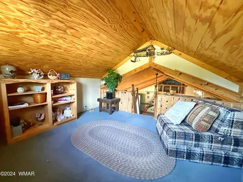 Other - 2815 Pine Hill Dr, Overgaard, AZ 85933 photo 7 of 7