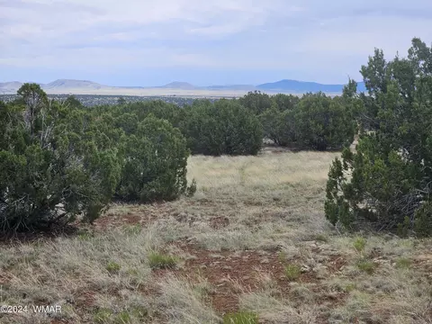 Tbd N8339, Concho, AZ 85924