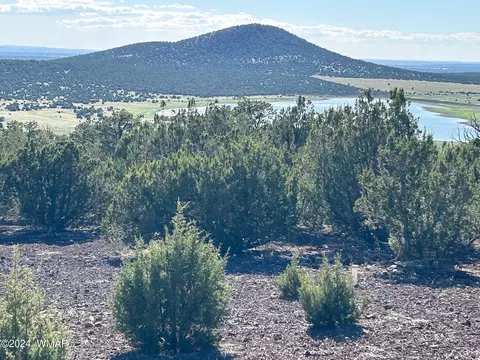 lot72 N Dolly Rd, Vernon, AZ 85940