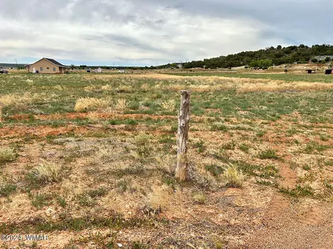 lot4 Dalton Ln, Taylor, AZ 85939