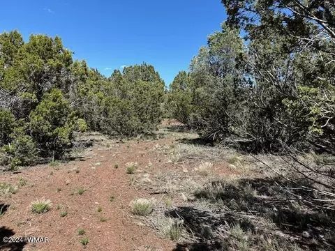 2 N 3115, Vernon, AZ 85940 photo 5