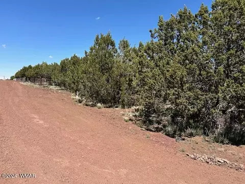 2 N 3115, Vernon, AZ 85940 photo 7