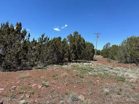 2 N 3115, Vernon, AZ 85940 photo 9