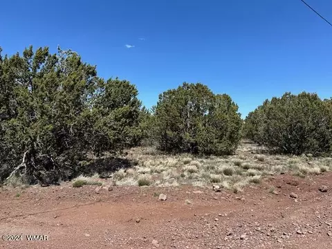 2 N 3115, Vernon, AZ 85940 photo 4