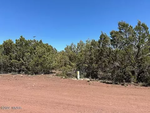 2 N 3115, Vernon, AZ 85940 photo 2