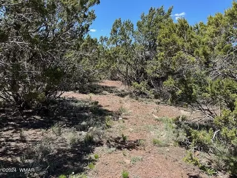 2 N 3115, Vernon, AZ 85940 photo 6
