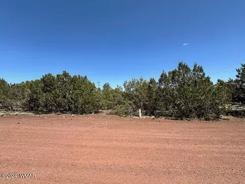 2 N 3115, Vernon, AZ 85940 photo 8