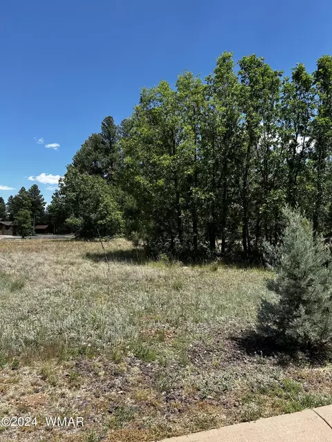 1781 S Alder Leaf Ln, Show Low, AZ 85901