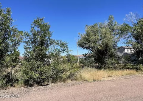 tbd Tori Cir, Springerville, AZ 85938 photo 3
