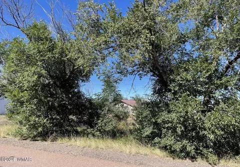tbd Tori Cir, Springerville, AZ 85938 photo 2