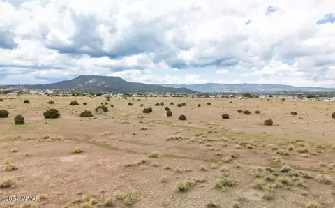 Tbd Parcel 2, Springerville, AZ 85938 photo 4