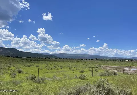 Tbd Parcel 3, Springerville, AZ 85938 photo 2