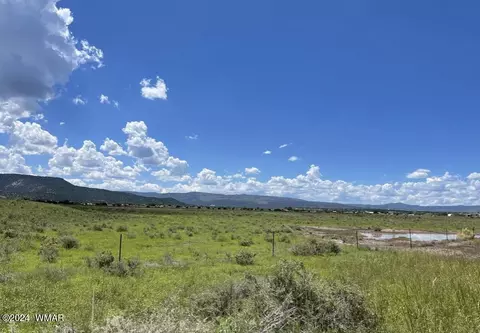 Tbd Parcel 4, Springerville, AZ 85938 photo 2