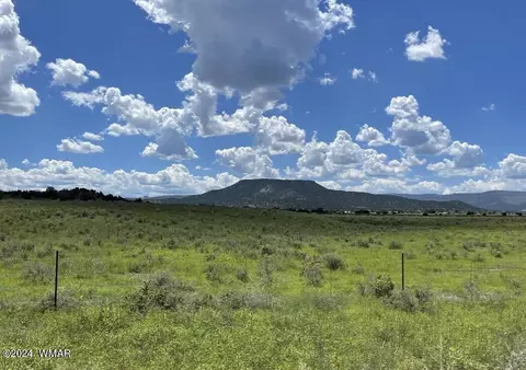 Tbd Parcel 4, Springerville, AZ 85938 photo 3