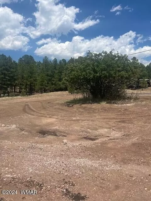 4 County Road 2059, Alpine, AZ 85920 photo 2