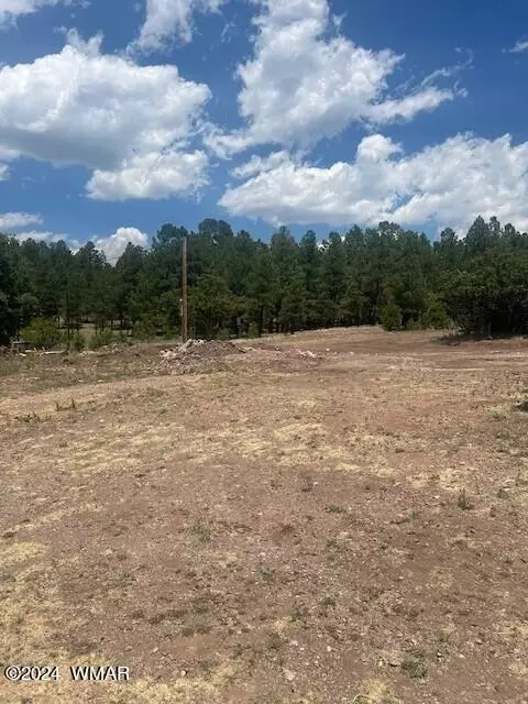 4 County Road 2059, Alpine, AZ 85920 photo 4
