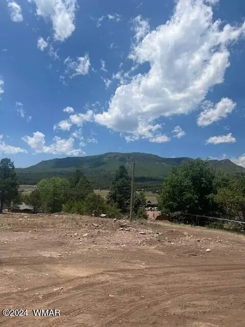 4 County Road 2059, Alpine, AZ 85920 photo 6
