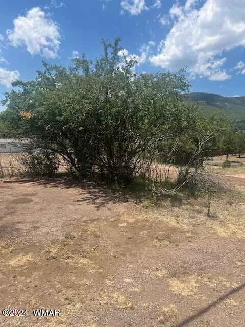4 County Road 2059, Alpine, AZ 85920 photo 5