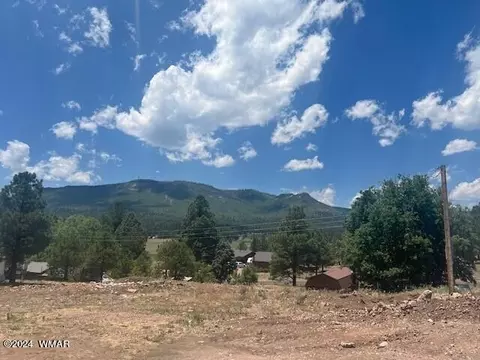 4 County Road 2059, Alpine, AZ 85920