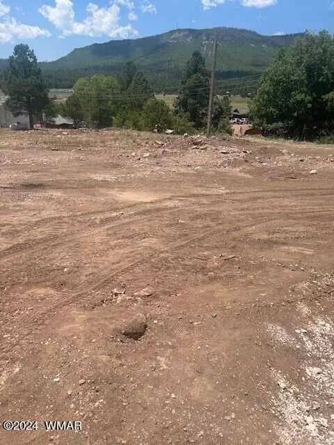 4 County Road 2059, Alpine, AZ 85920 photo 3