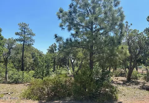 2001 S Highline Dr, Show Low, AZ 85901