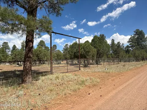 2864 Deer Trl, Overgaard, AZ 85933