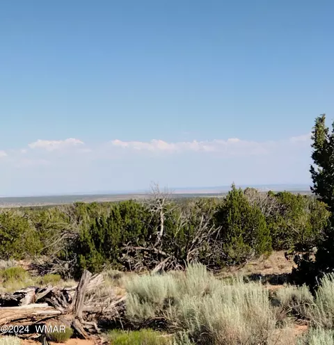171 Cr N7113, Saint Johns, AZ 85936