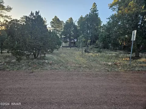 3334 Forest Dr, Overgaard, AZ 85933