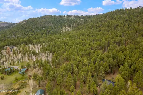 0 102-10-002, Greer, AZ 85927 photo 2