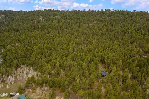 0 102-10-002, Greer, AZ 85927 photo 3