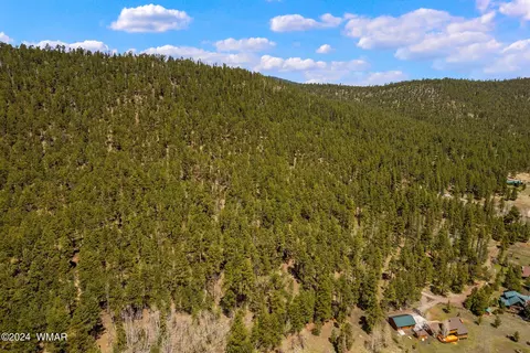 0 102-10-002, Greer, AZ 85927 photo 4