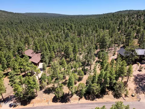 3061 W Sage Ln, Show Low, AZ 85901